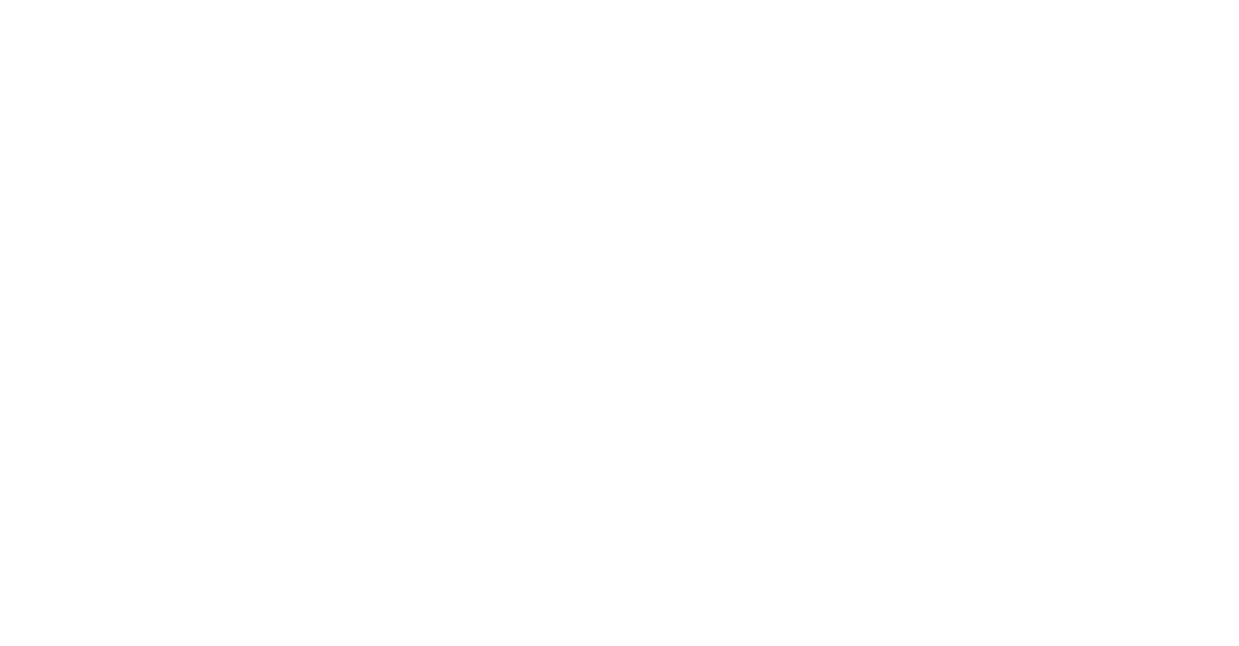 Sorek Logo